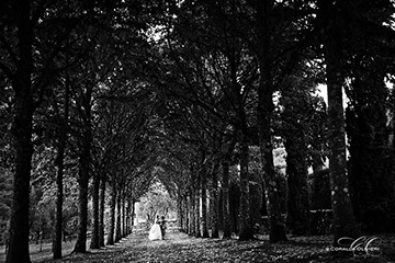 Wedding, photo service in Florence, Tuscany - Italy