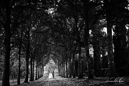 Wedding, photo service in Florence, Tuscany - Italy