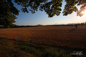 Wedding, photo service in Florence, Tuscany - Italy