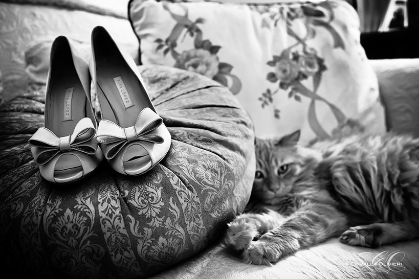 Wedding photographer in Ascoli Piceno, Marche - Coralla Olivieiri Photographer