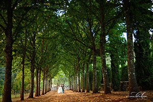 Wedding photographer in Siena, Tuscany - Coralla Olivieiri Photographer